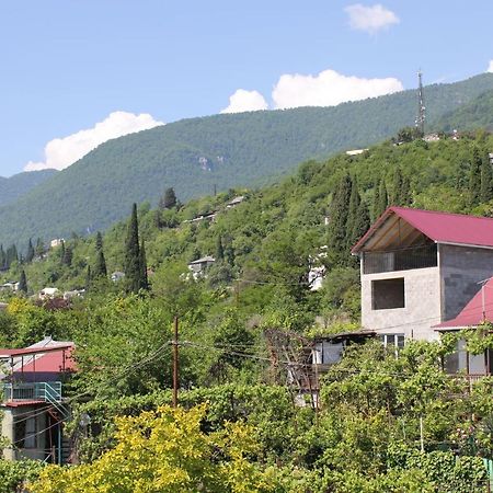 Guest House Zvanba Γκάγκρα Εξωτερικό φωτογραφία