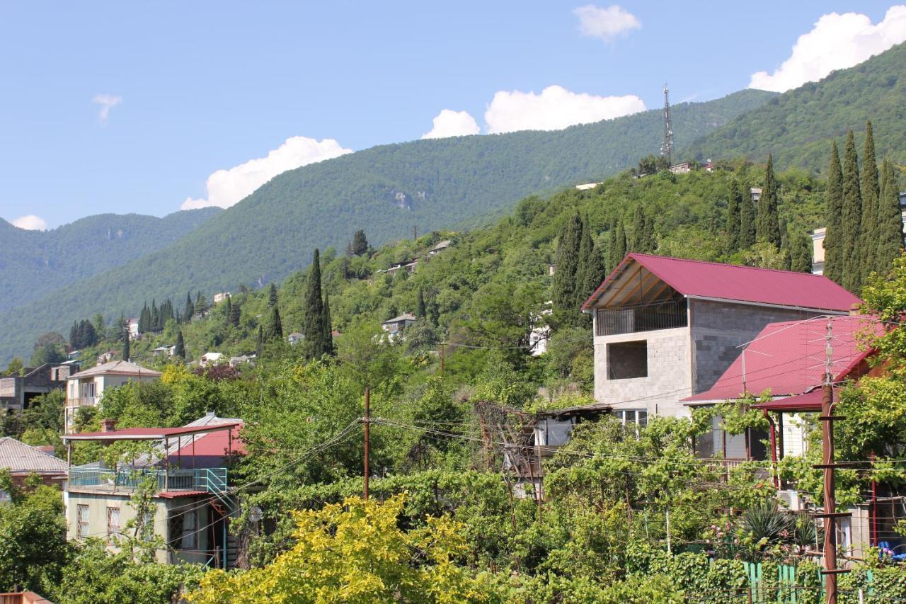 Guest House Zvanba Γκάγκρα Εξωτερικό φωτογραφία